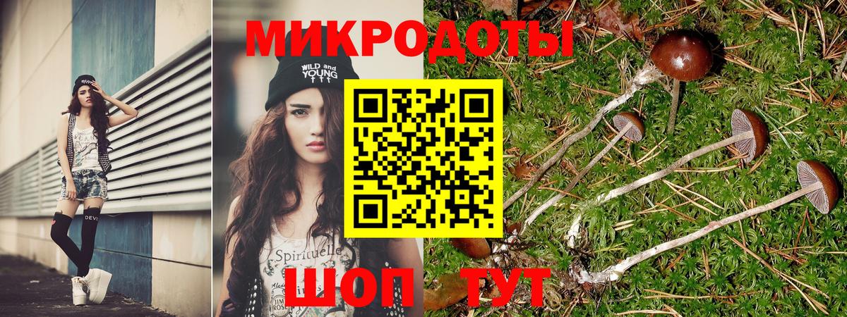 Галлюциногенные грибы GOLDEN TEACHER Гагарин